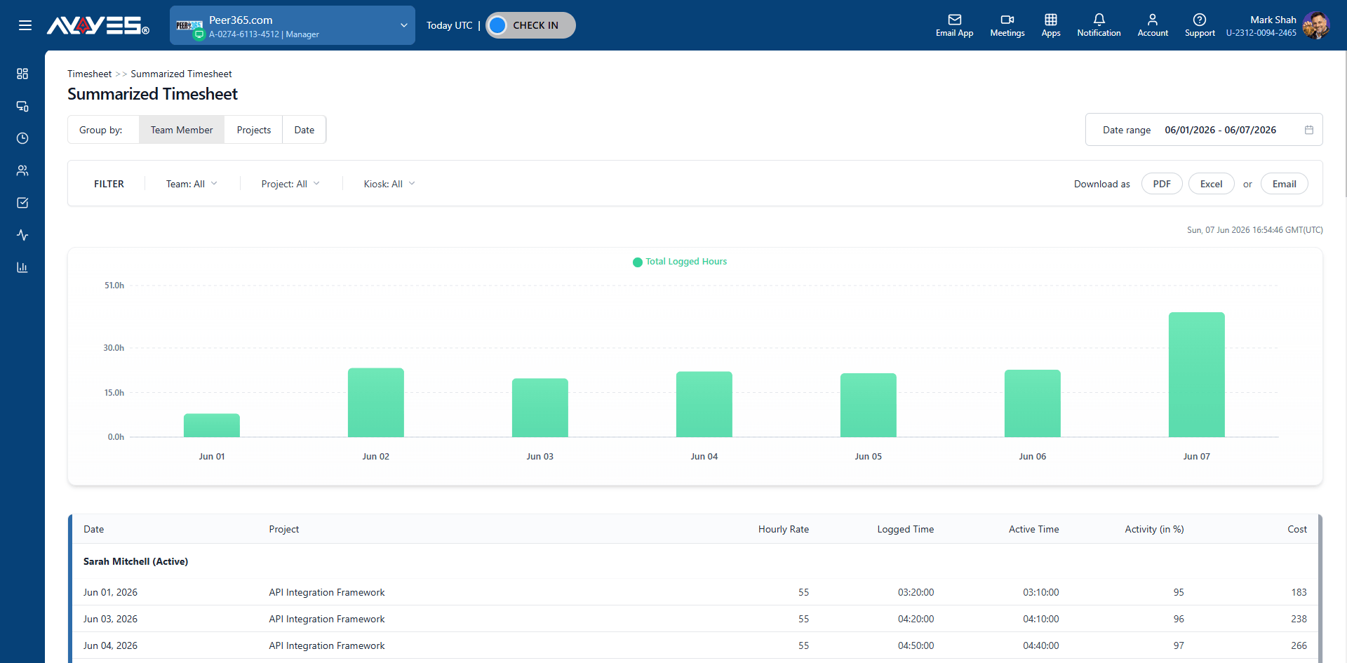 The AYYES summarized timesheet report with logged hours per day and per team member